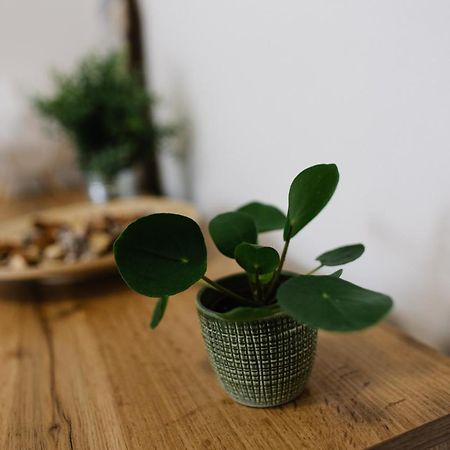 90 m2 horský apartmán v centru Harrachova Esterno foto